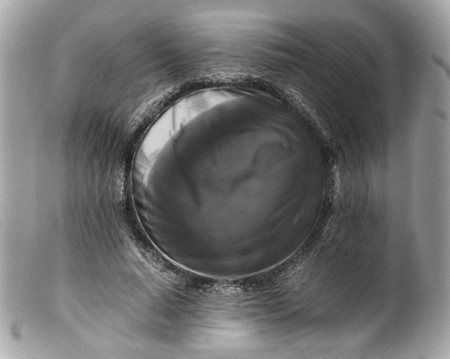 X0000099550640200805301521