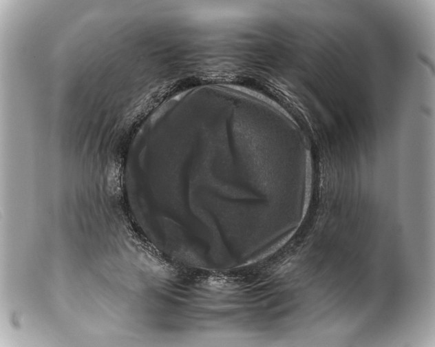 X0000099550641200805301521