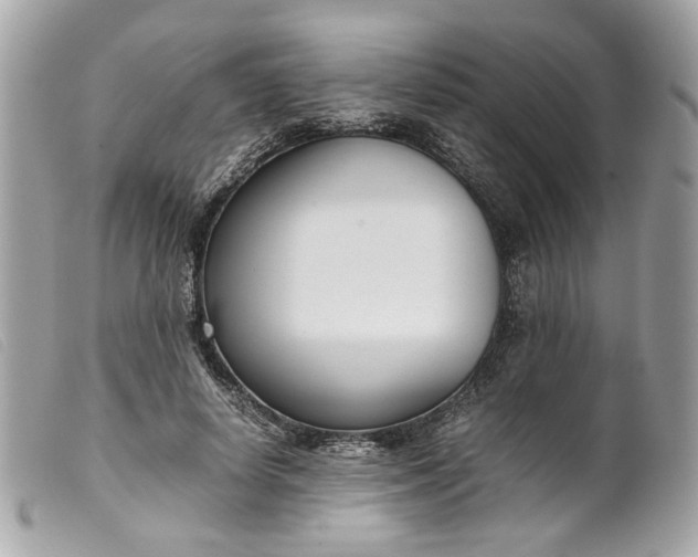 X0000099550642200805301521