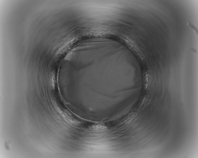 X0000099550644200805301521