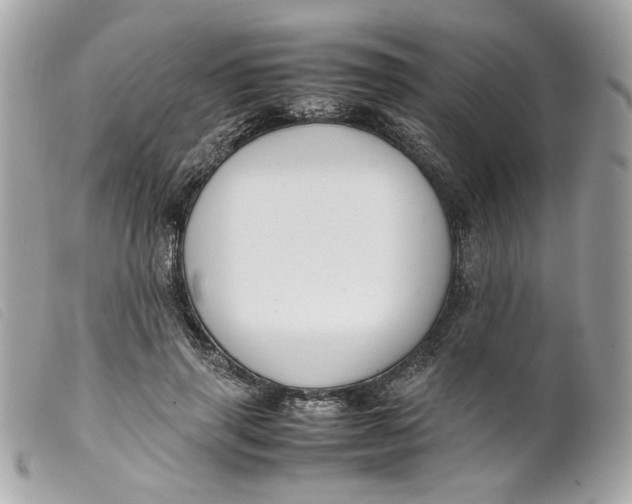 X0000099550645200805301521