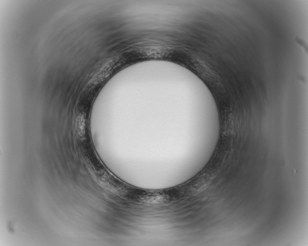 X0000099550646200805301521