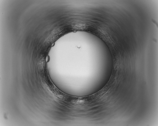 X0000099550647200805301522