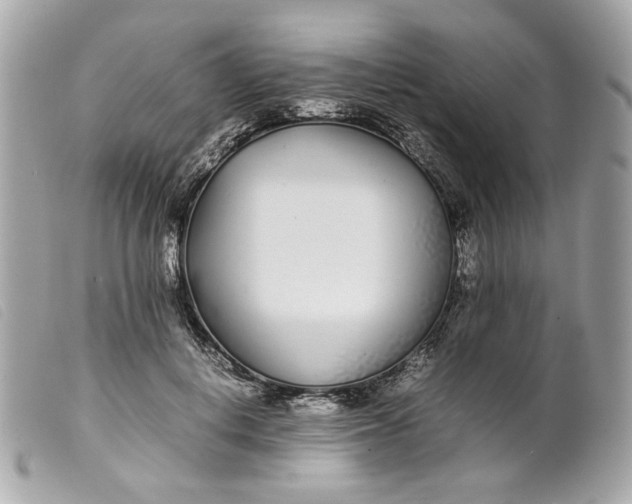 X0000099550648200805301522