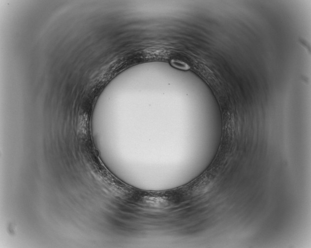 X0000099550649200805301522