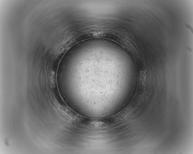 X0000099550650200805301522