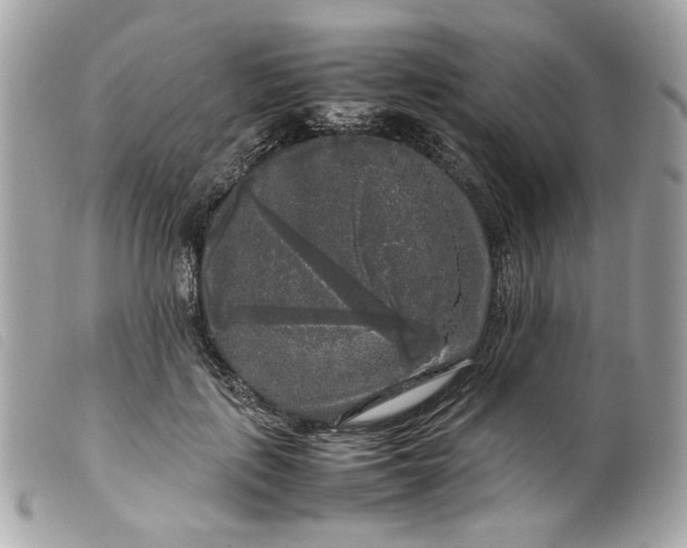 X0000099550651200805301522