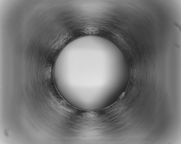 X0000099550652200805301522