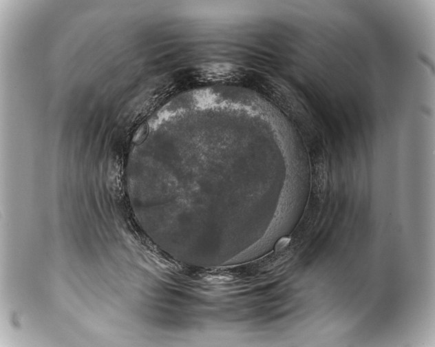 X0000099550653200805301522