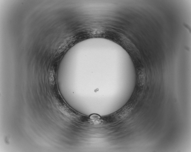 X0000099550654200805301522