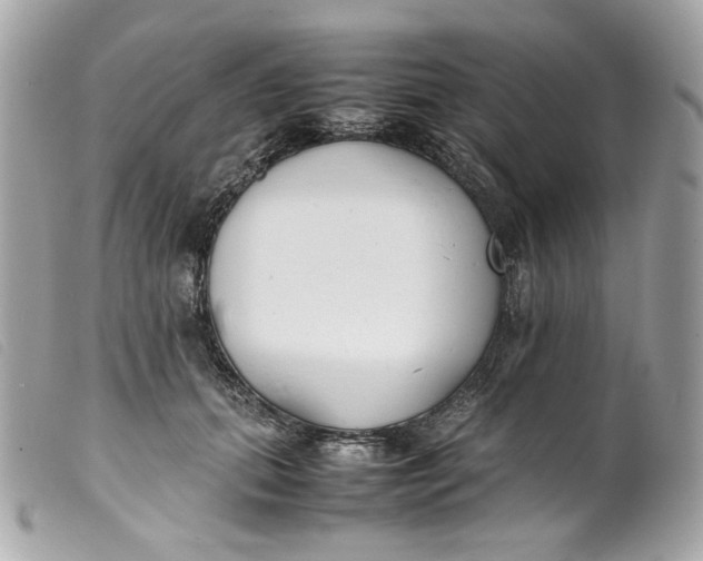 X0000099550655200805301522