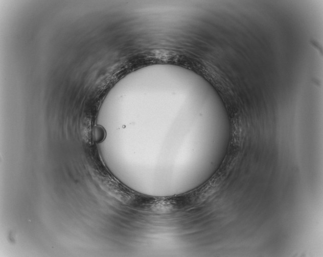 X0000099550656200805301522