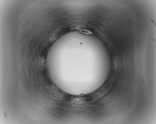 X0000099550657200805301522