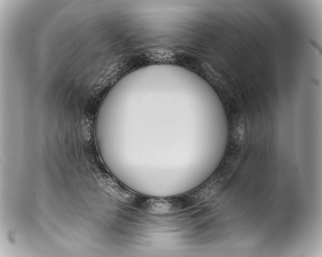 X0000099550658200805301522