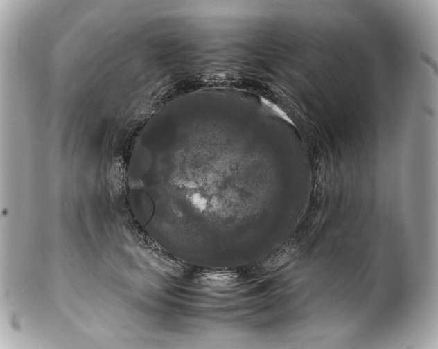 X0000099550659200805301522