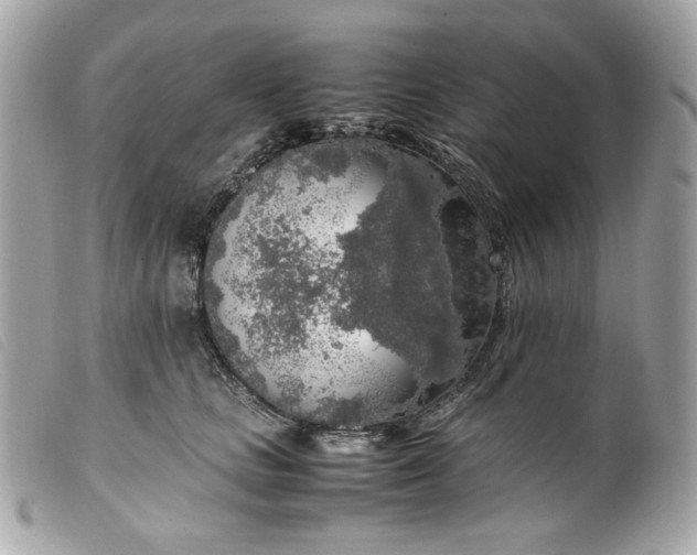 X0000099550661200805301522