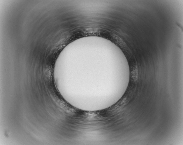 X0000099550662200805301522