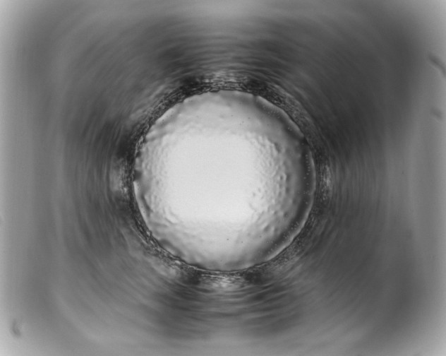 X0000099550663200805301522