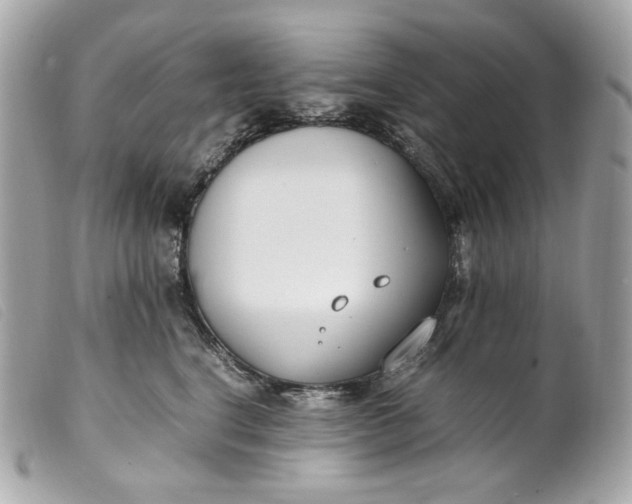 X0000099550664200805301522