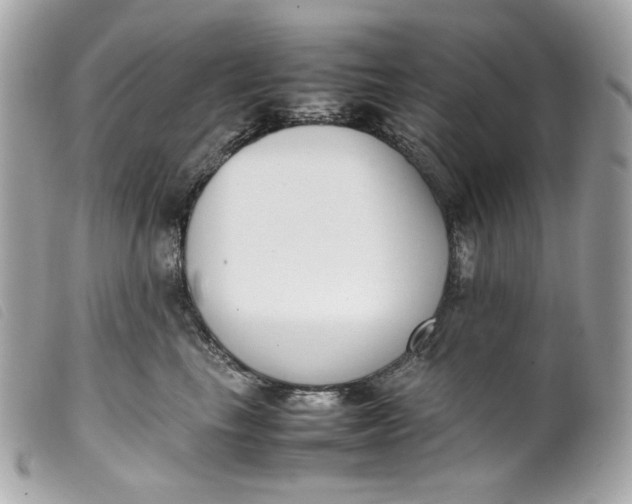 X0000099550665200805301522