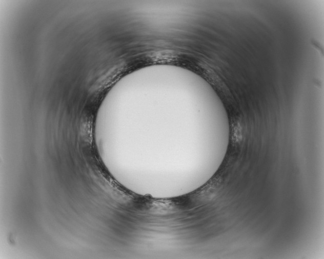 X0000099550666200805301522