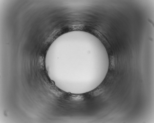 X0000099550667200805301522