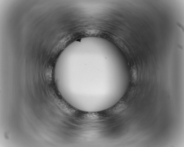 X0000099550668200805301522