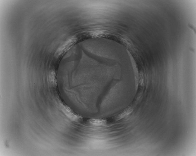 X0000099550670200805301522