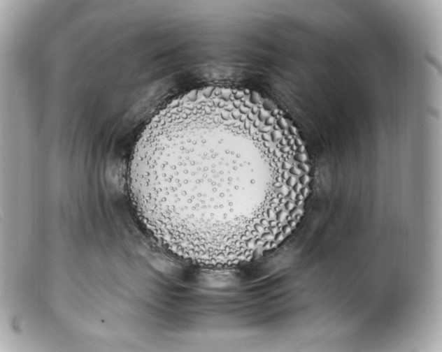 X0000099550671200805301522