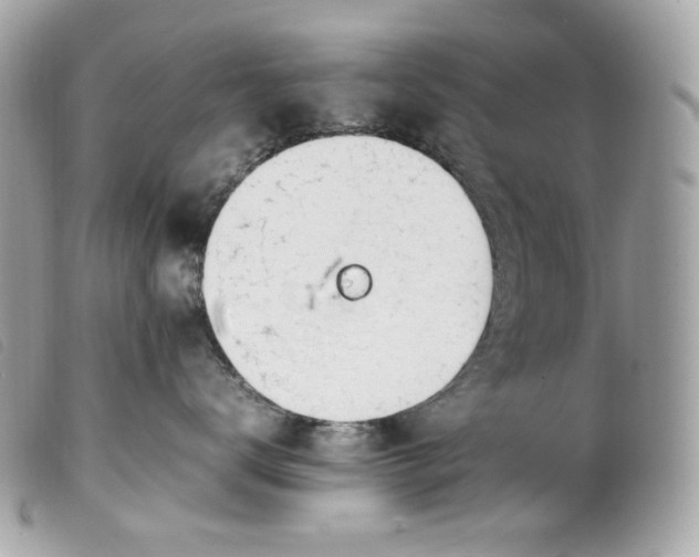 X0000099550672200805301522