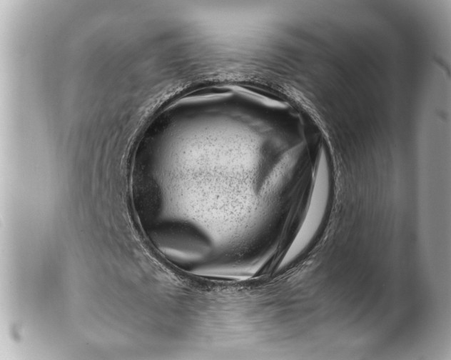 X0000099550673200805301521