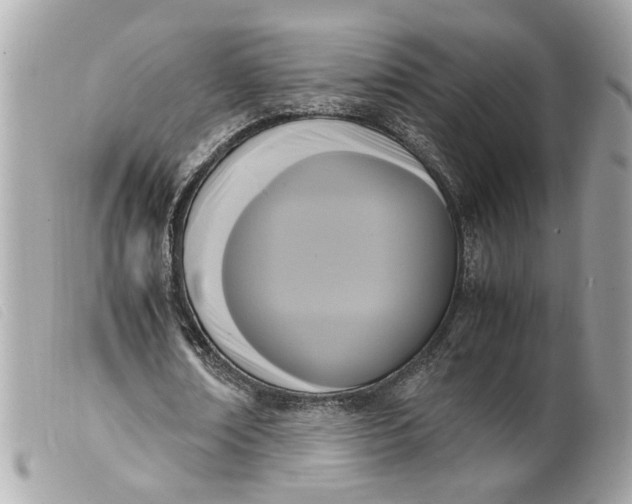 X0000099550674200805301521