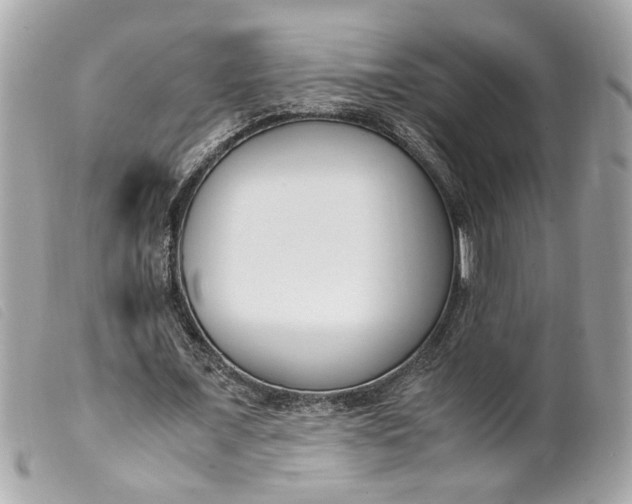 X0000099550675200805301521