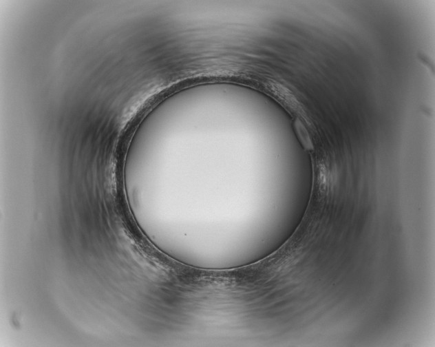 X0000099550676200805301521