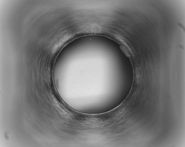 X0000099550677200805301521