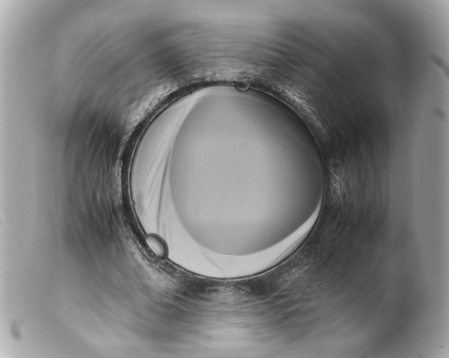 X0000099550678200805301521