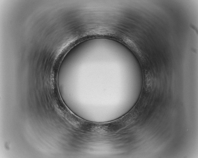 X0000099550680200805301521