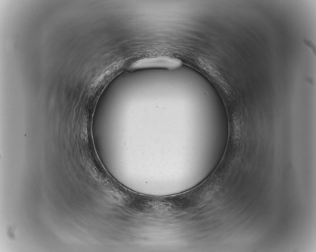 X0000099550681200805301521