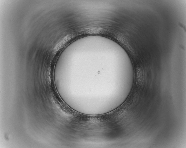 X0000099550682200805301521