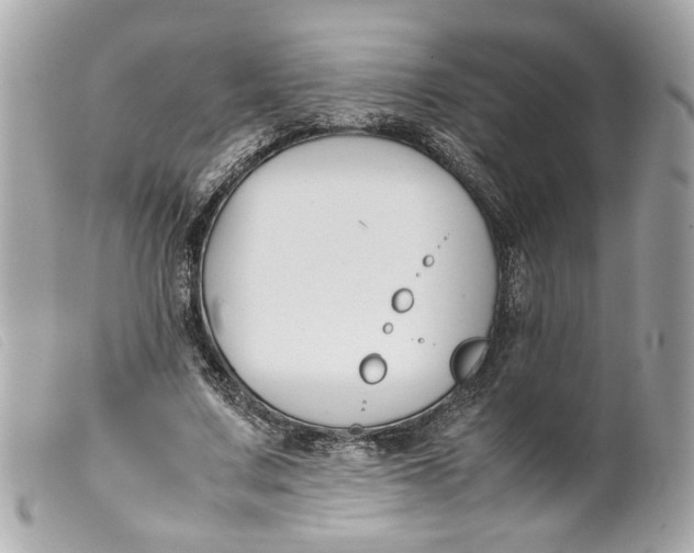 X0000099550683200805301521