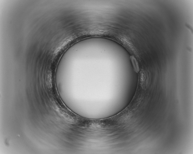 X0000099550684200805301521