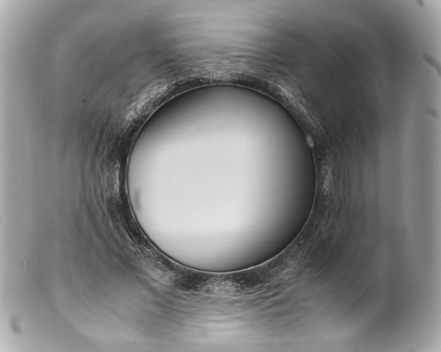 X0000099550685200805301521