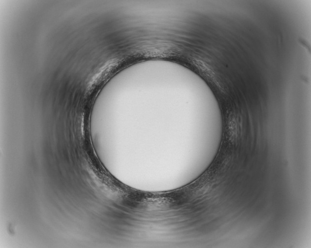 X0000099550686200805301521