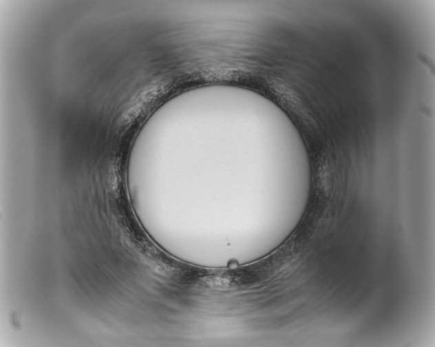 X0000099550687200805301521