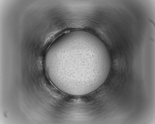 X0000099550688200805301521