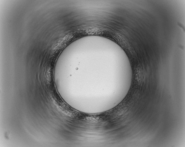 X0000099550690200805301521