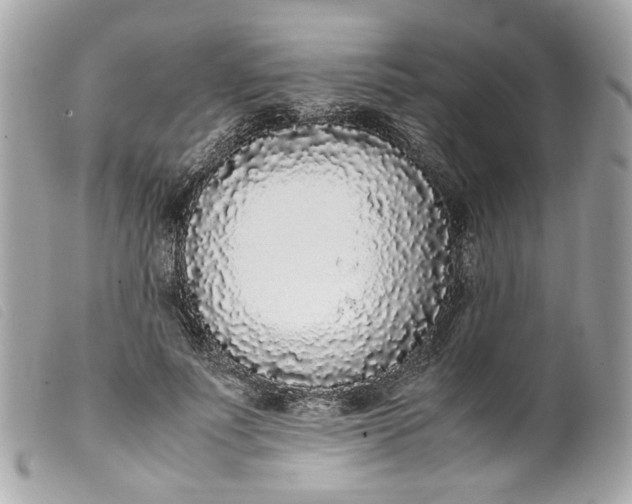 X0000099550691200805301521