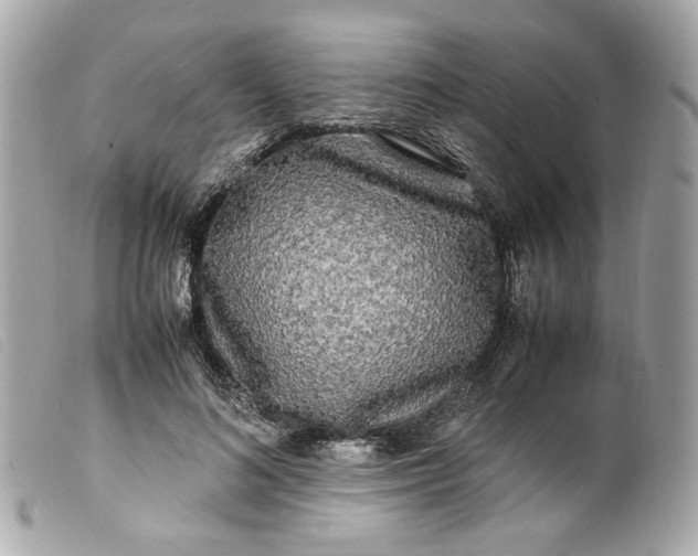 X0000099550692200805301521