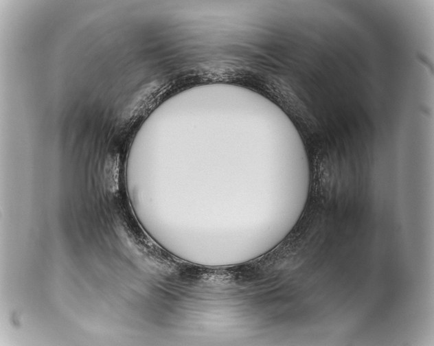 X0000099550694200805301521