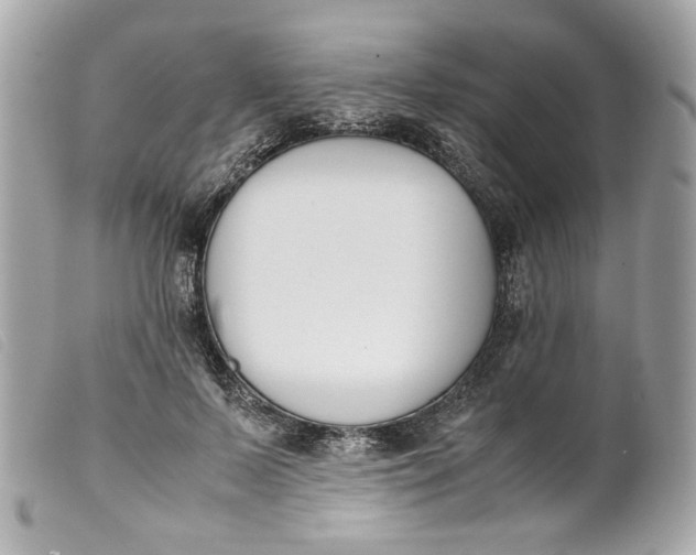 X0000099550695200805301521